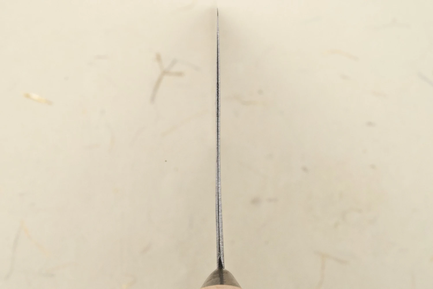 CCK Cleaver "Shibata Special" Tall Bunka 200mm 5 CCK Cleaver "Shibata Special" Tall Bunka 200mm - Image 3