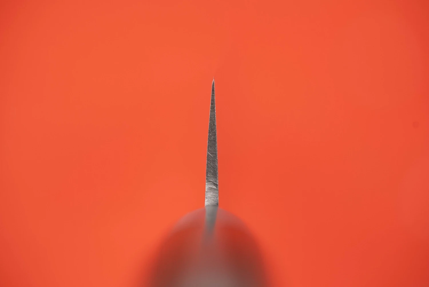 Haruyuki Goma Boning 210mm 5 Haruyuki Goma Boning 210mm - Image 3