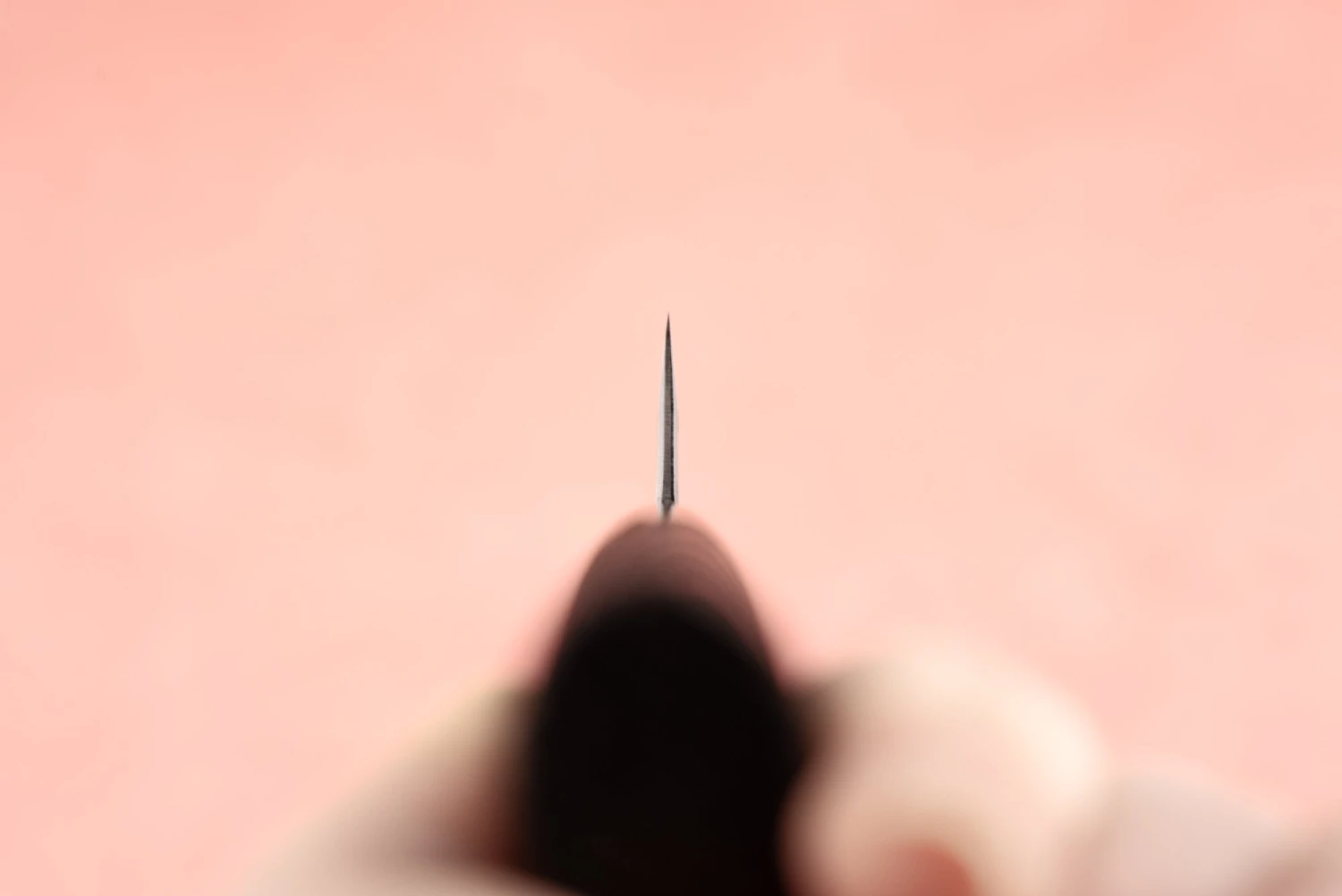 Sadamasa Aogami Stainless Migaki Kiritsuke Petty 135mm 5 Sadamasa Aogami Stainless Migaki Kiritsuke Petty 135mm - Image 3