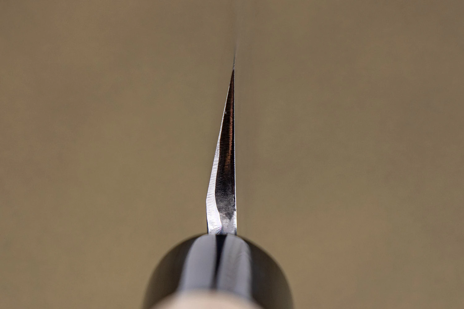 Sakai Kikumori Tomoshibi Yanagiba 300mm 6 Sakai Kikumori Tomoshibi Yanagiba 300mm - Image 4