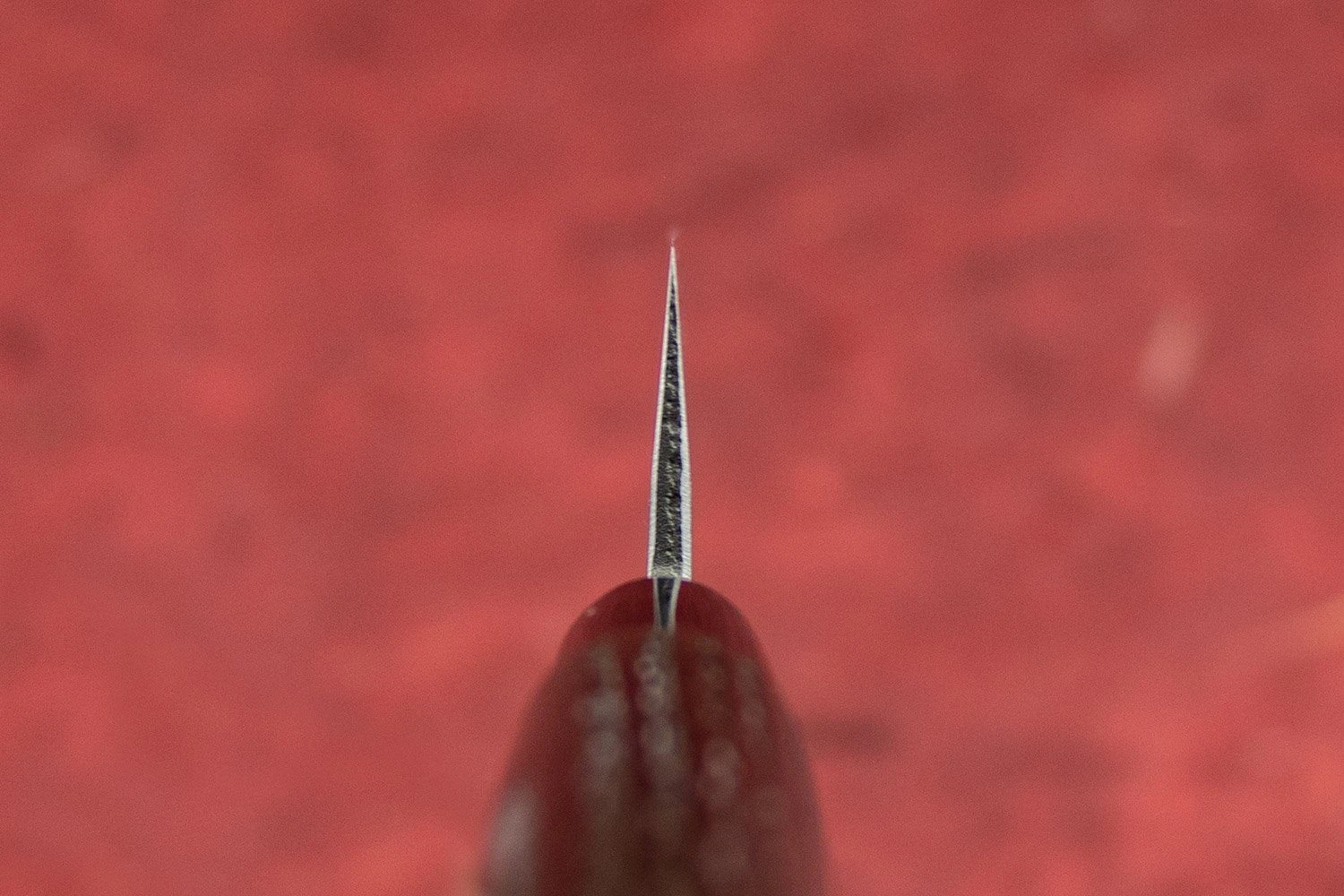 Fujimoto Nashiji Petty 135mm 5 Fujimoto Nashiji Petty 135mm - Image 3