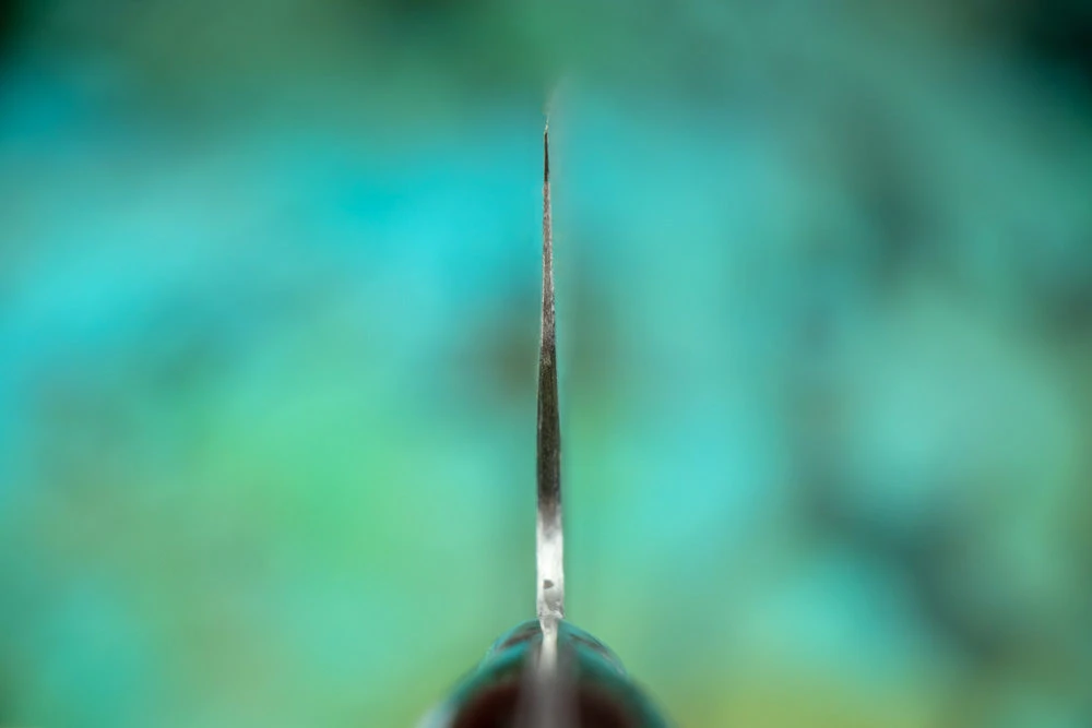 Fujiwara Western Denka Gyuto 240mm 5 Fujiwara Western Denka Gyuto 240mm - Image 3