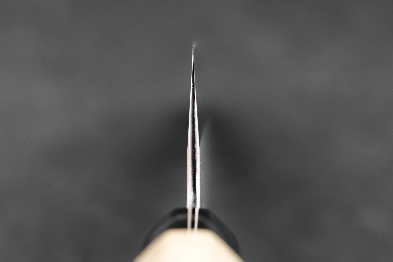 Sakai Kikumori Kikuzuki Rin Gyuto 210mm 5 Sakai Kikumori Kikuzuki Rin Gyuto 210mm - Image 3