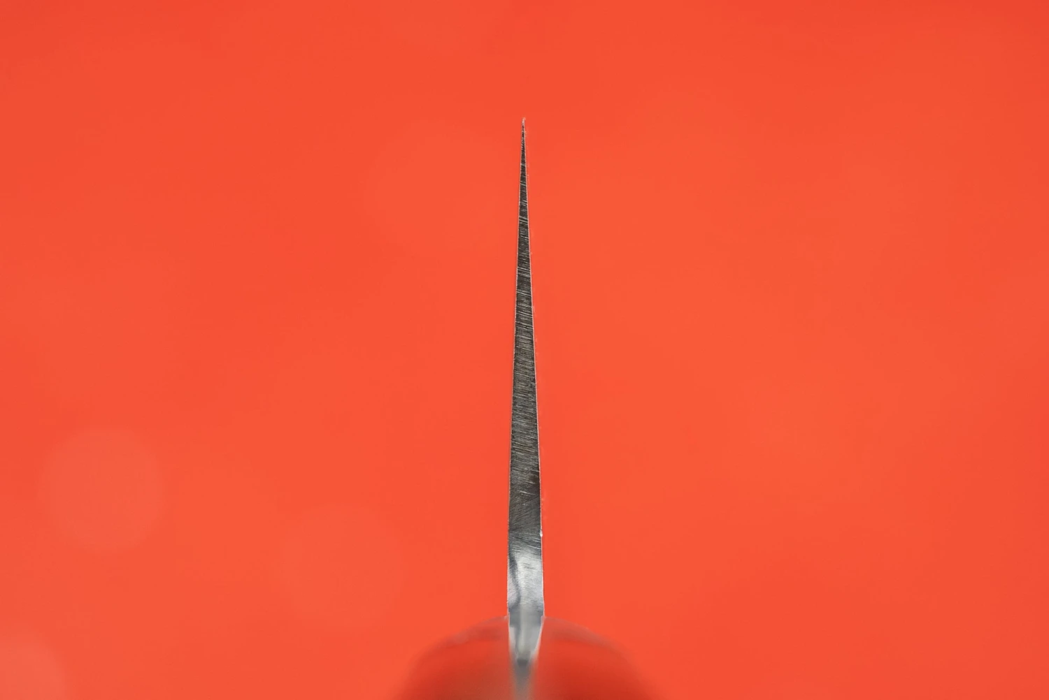 Haruyuki Goma Gyuto 240mm 5 Haruyuki Goma Gyuto 240mm - Image 3