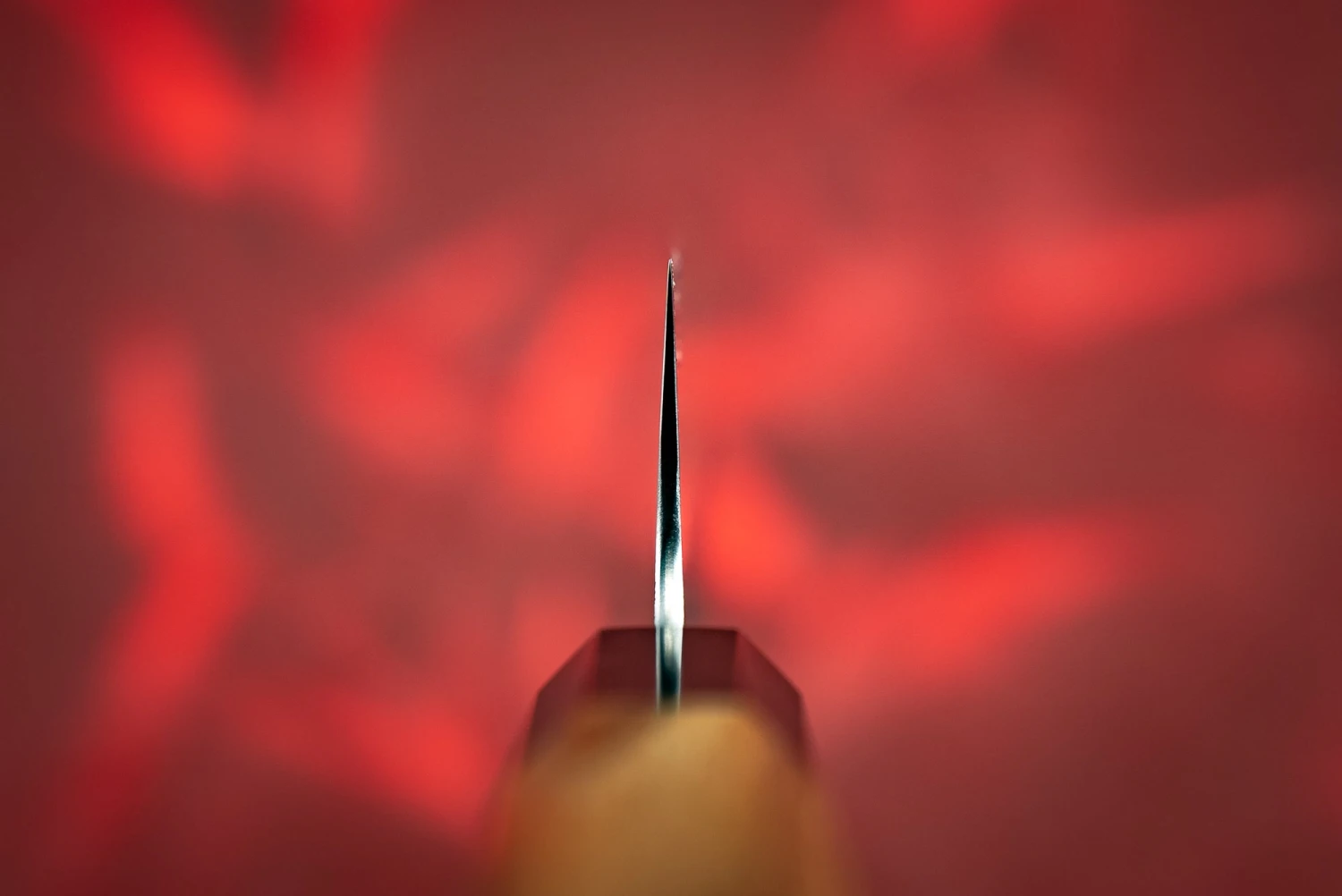 Hatsukokoro Inazuma AS Kiritsuke 210mm 5 Hatsukokoro Inazuma AS Kiritsuke 210mm - Image 3