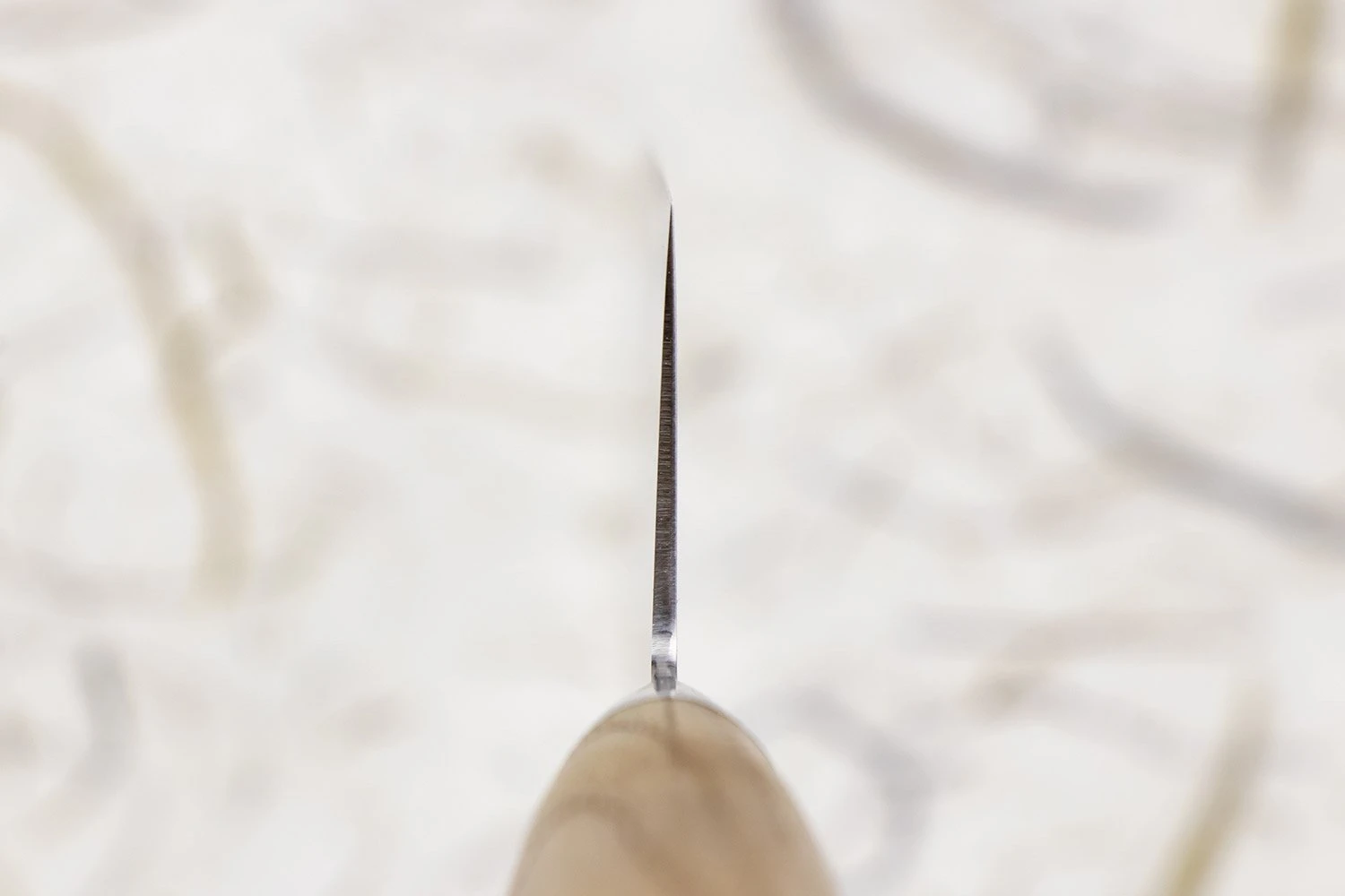 Tadafusa Hocho Kobo HK-4 Gyuto 210mm 5 Tadafusa Hocho Kobo HK-4 Gyuto 210mm - Image 3