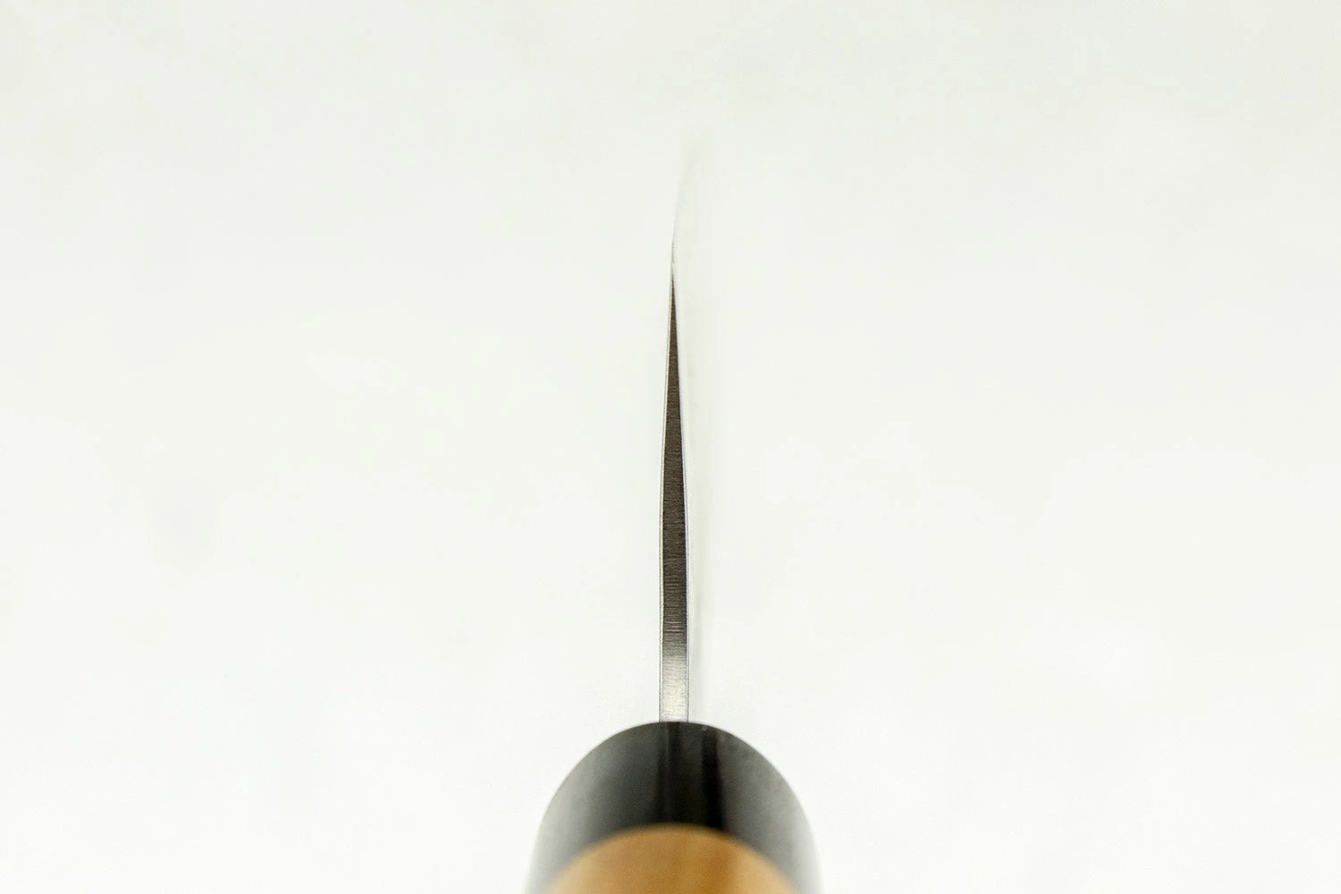 Haruyuki Kokuto Gyuto 210mm 5 Haruyuki Kokuto Gyuto 210mm - Image 3