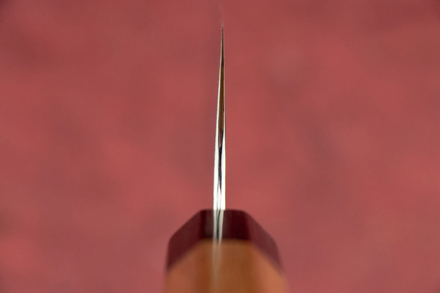 Shibata Koutetsu Type 3 AS Migaki Santoku 165mm 5 Shibata Koutetsu Type 3 AS Migaki Santoku 165mm - Image 3