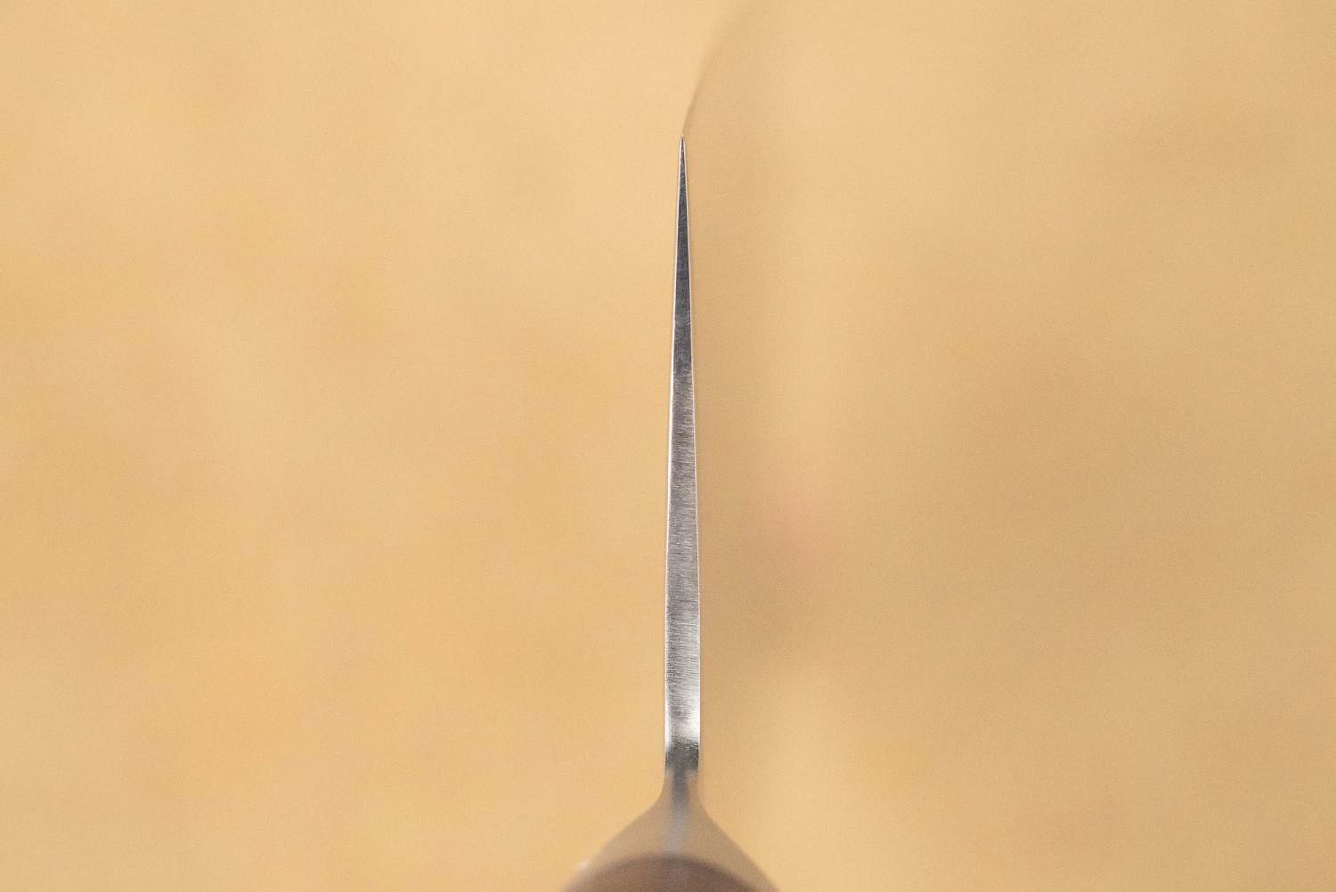 Shizu Hamono Shikisai Miyako Nakiri 170mm 5 Shizu Hamono Shikisai Miyako Nakiri 170mm - Image 3