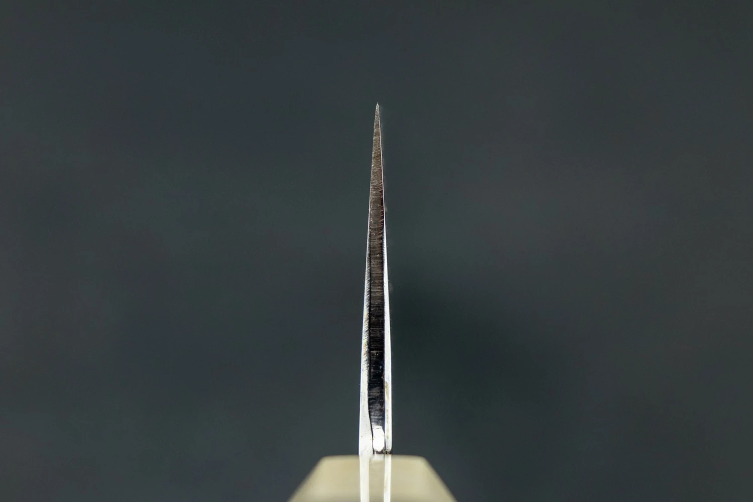 Sakai Kikumori Shiroichi Kyomen Sakachoji Honyaki Gyuto 240mm 6 Sakai Kikumori Shiroichi Kyomen Sakachoji Honyaki Gyuto 240mm - Image 4