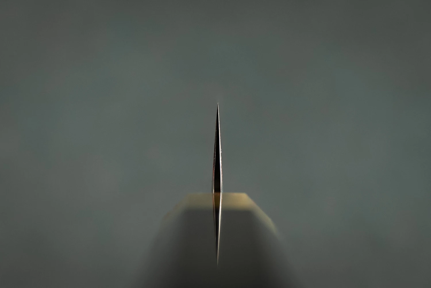 Satoshi Nakagawa X Naohito Myojin Aoichi Damascus Sakimaru Sujihiki 330mm 6 Satoshi Nakagawa X Naohito Myojin Aoichi Damascus Sakimaru Sujihiki 330mm - Image 4