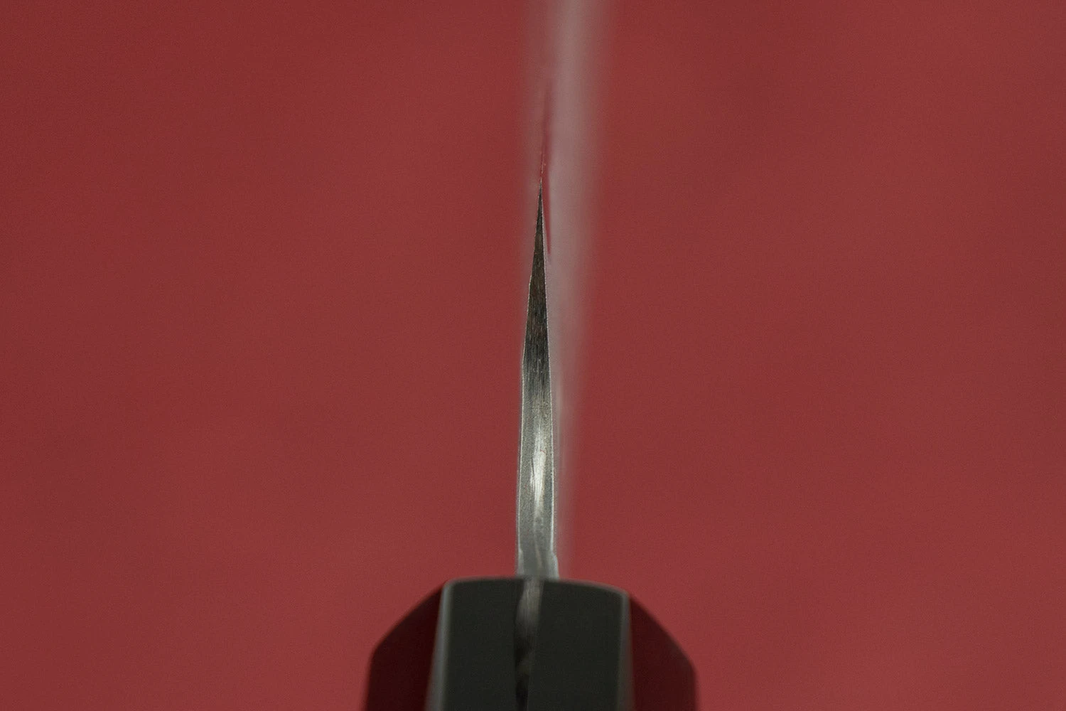 Nigara AS/S Tsuchime Kiritsuke Sujihiki 255mm 5 Nigara AS/S Tsuchime Kiritsuke Sujihiki 255mm - Image 3