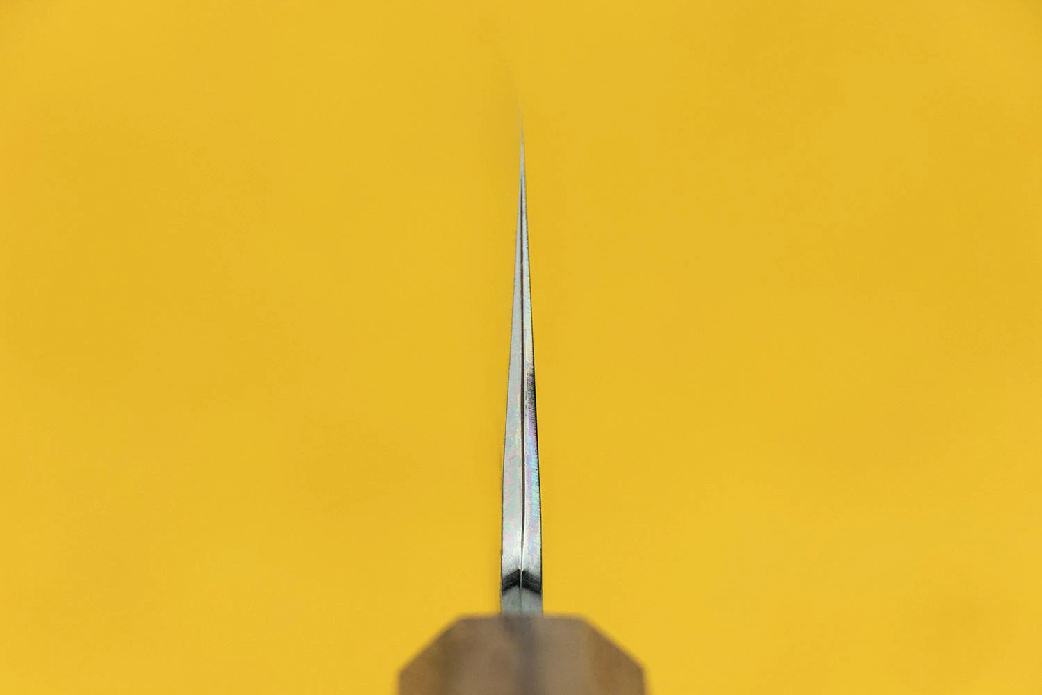 Hado Sakai Sumi Gyuto 240mm 5 Hado Sakai Sumi Gyuto 240mm - Image 3