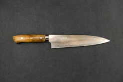 Takeshi Saji VG10W Rainbow Damascus Western Gyuto 240mm