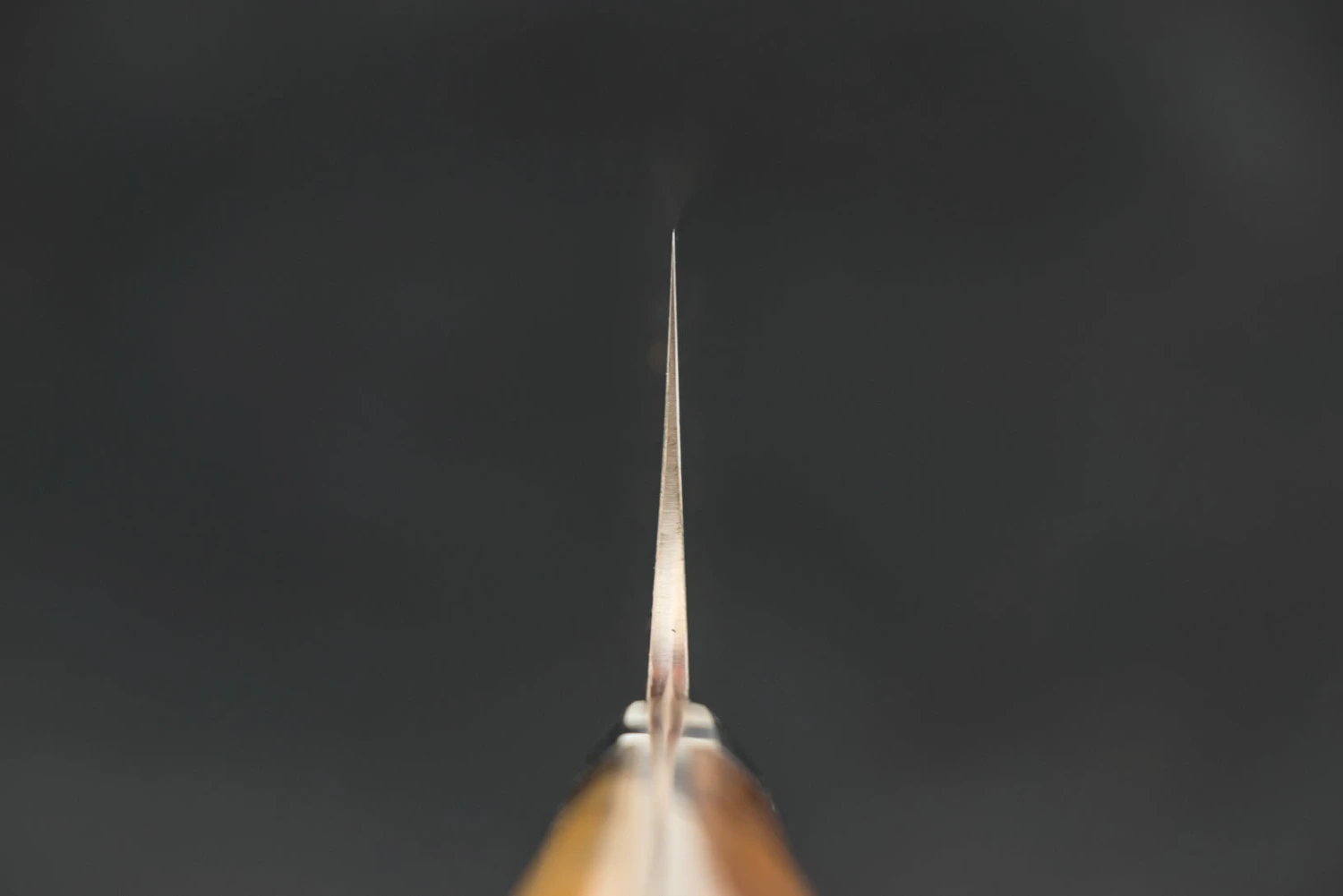 Takeshi Saji VG10W Rainbow Damascus Western Gyuto 210mm 7 Takeshi Saji VG10W Rainbow Damascus Western Gyuto 210mm - Image 5