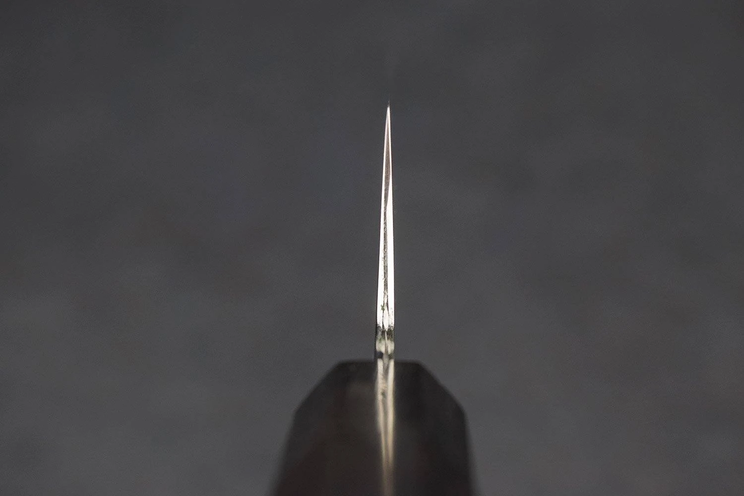 Sakai Takayuki Shironi Honyaki Gyuto 210mm 7 Sakai Takayuki Shironi Honyaki Gyuto 210mm - Image 5