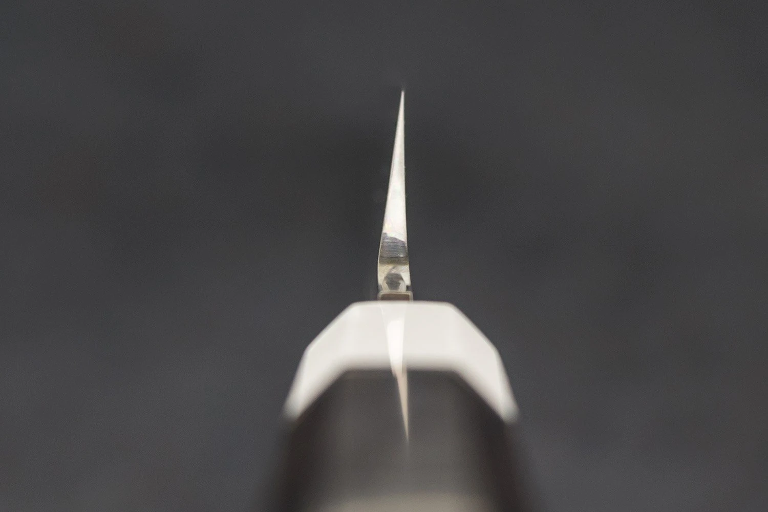 Sakai Takayuki Ginryu Honyaki Kengata Yanagiba 300mm 7 Sakai Takayuki Ginryu Honyaki Kengata Yanagiba 300mm - Image 5