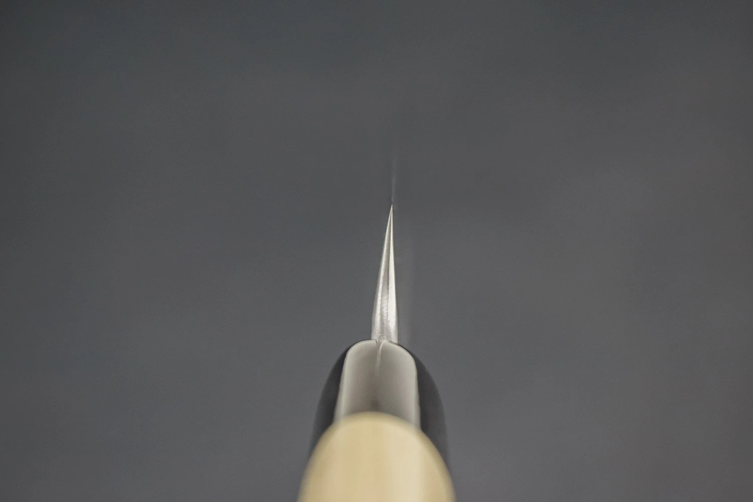 Shigefusa Kitaeji Yanagiba 210mm 8 Shigefusa Kitaeji Yanagiba 210mm - Image 6