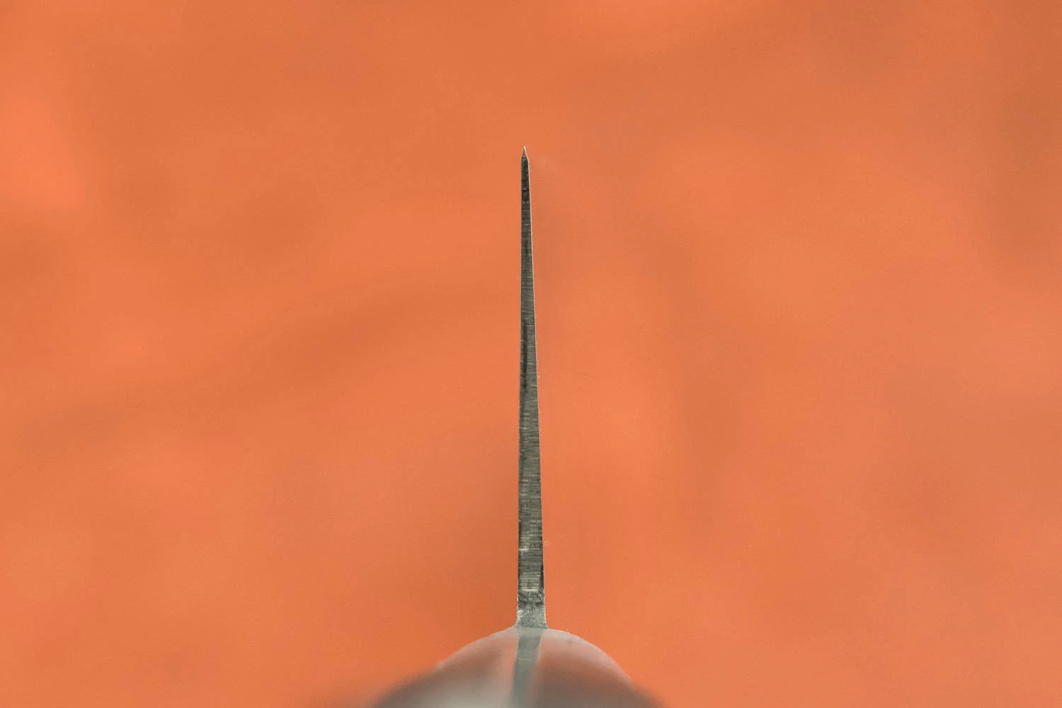 Sakai Takayuki SK4 Gyuto 210mm 5 Sakai Takayuki SK4 Gyuto 210mm - Image 3