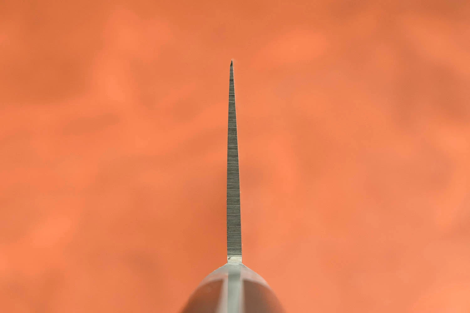 Sakai Takayuki SK4 Komakiri Gyuto 240mm 5 Sakai Takayuki SK4 Komakiri Gyuto 240mm - Image 3