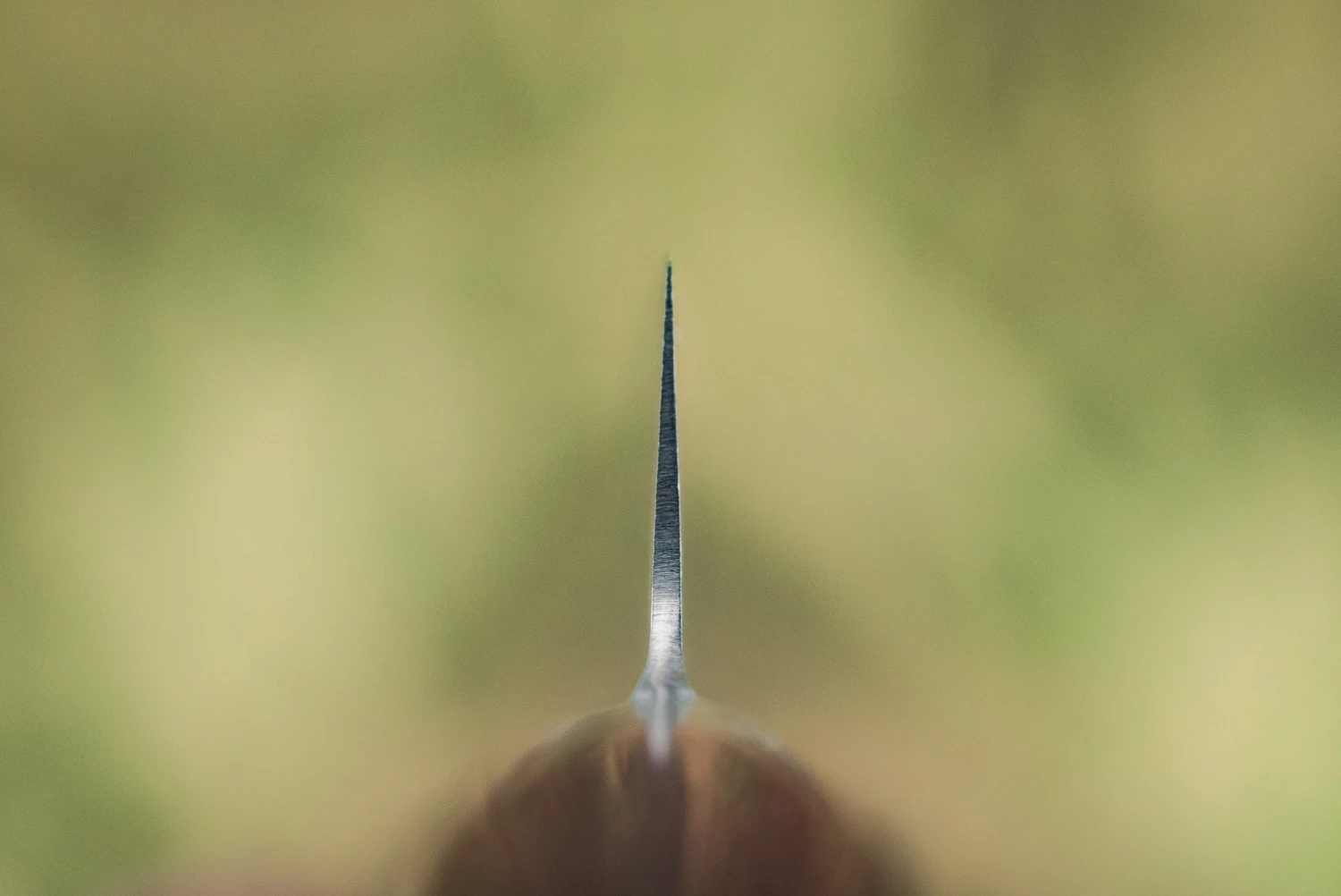 Tamahagane San Petty 120mm SN-1108 5 Tamahagane San Petty 120mm SN-1108 - Image 3