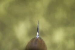 Tamahagane San Petty 90mm SN-1109 7 Tamahagane San Petty 90mm SN-1109 -Helle Store tamahagane petty 90 3