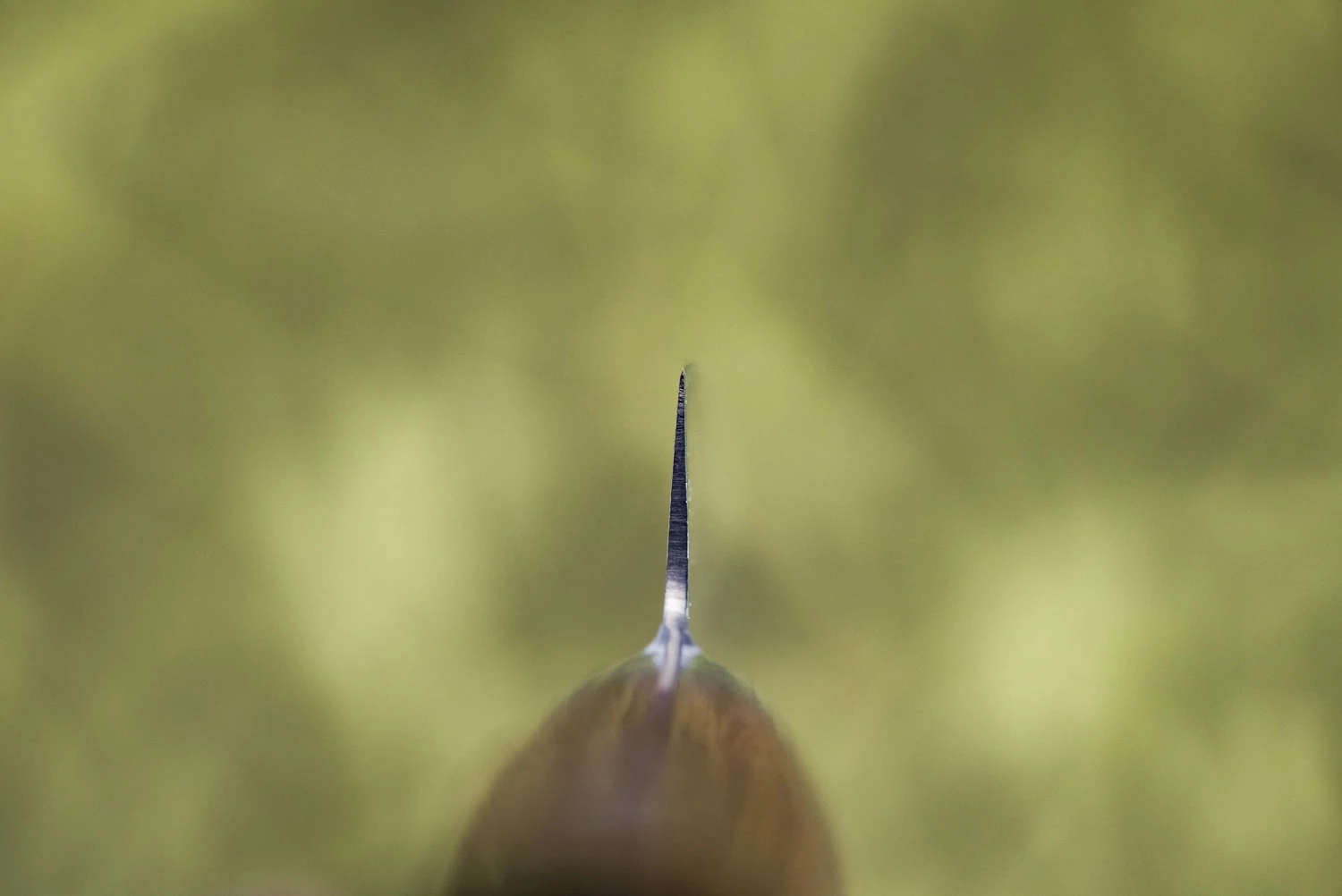 Tamahagane San Petty 90mm SN-1109 5 Tamahagane San Petty 90mm SN-1109 - Image 3