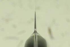 TOJIRO CLASSIC Sujihiki 270mm F-806 7 TOJIRO CLASSIC Sujihiki 270mm F-806 -Helle Store tojiro 806 3