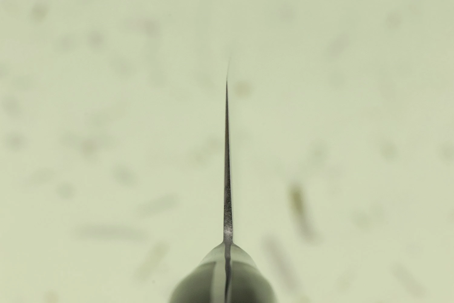 TOJIRO CLASSIC Gyuto 240mm F-809 5 TOJIRO CLASSIC Gyuto 240mm F-809 - Image 3